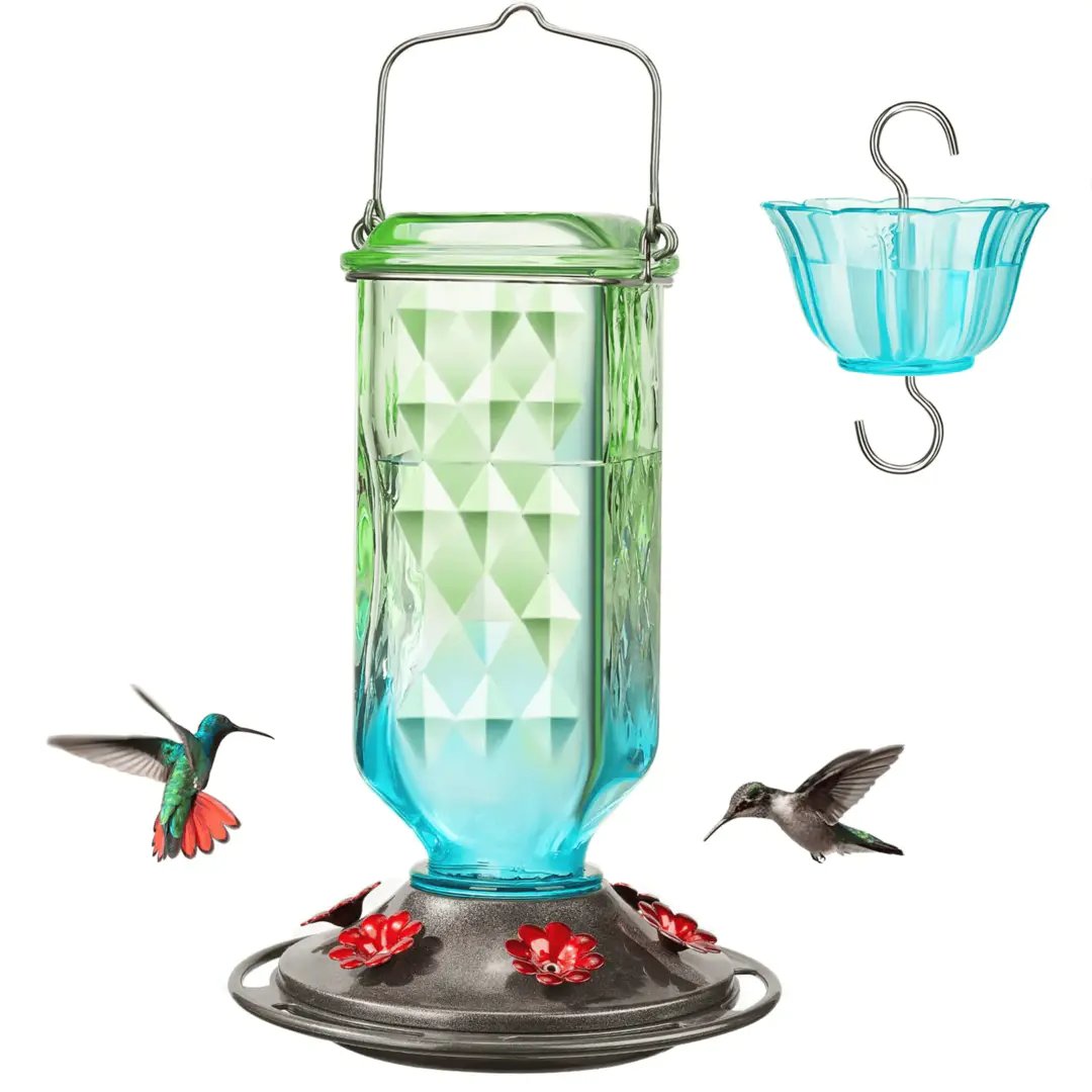 💥Last Day Sale 49% Off💥24oz Leak Proof Glass Hummingbird Feeder with Ant Moat 🔥BUY 2 FREE SHIPPING
