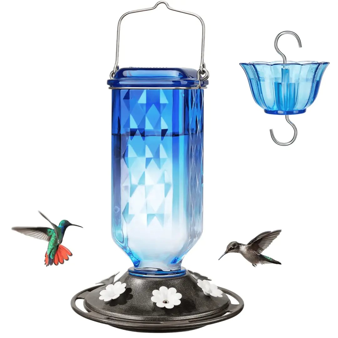 💥Last Day Sale 49% Off💥24oz Leak Proof Glass Hummingbird Feeder with Ant Moat 🔥BUY 2 FREE SHIPPING