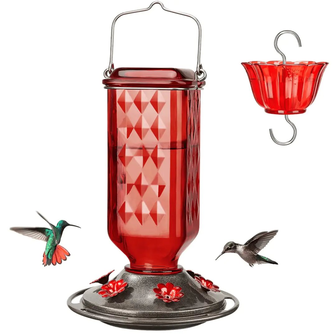 💥Last Day Sale 49% Off💥24oz Leak Proof Glass Hummingbird Feeder with Ant Moat 🔥BUY 2 FREE SHIPPING