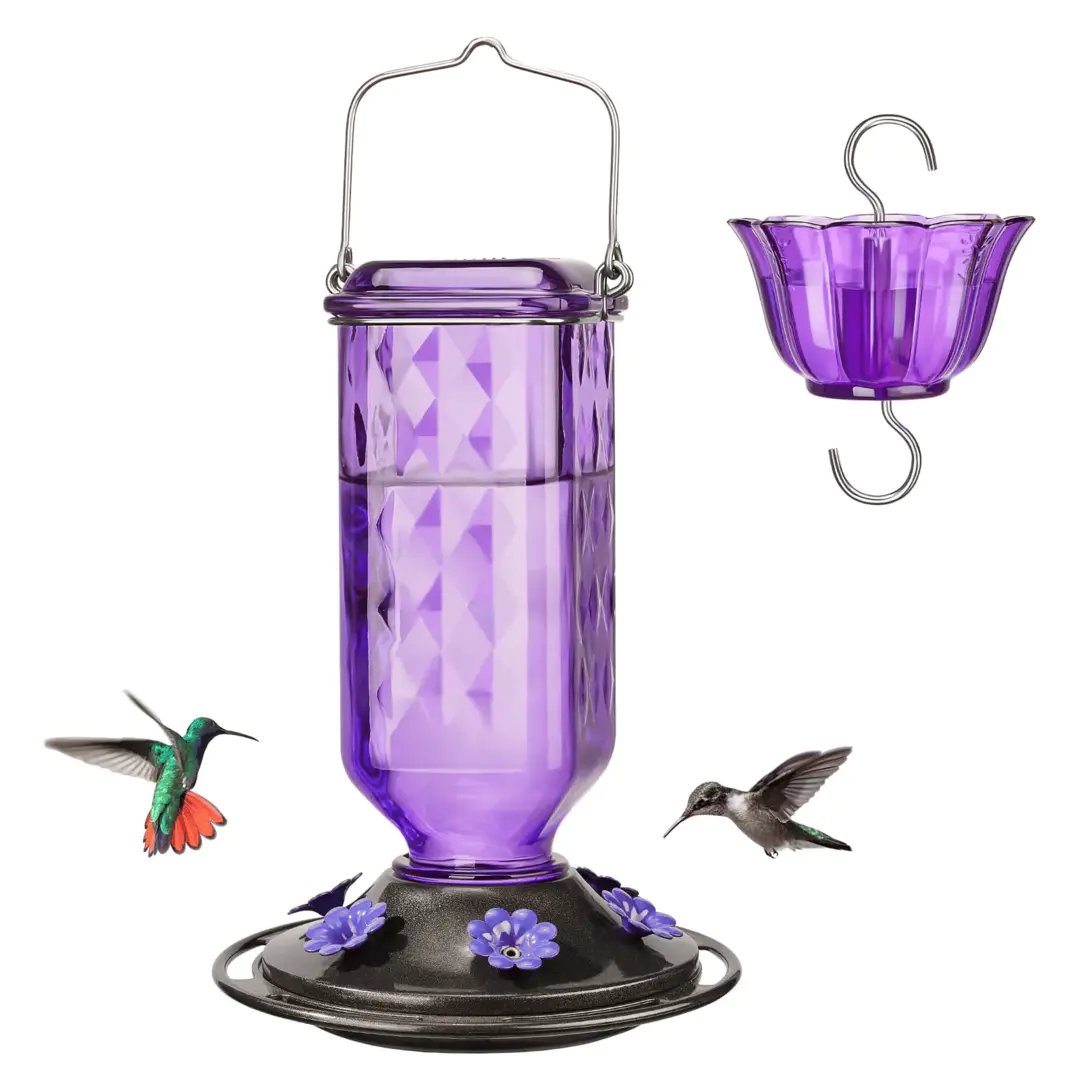 💥Last Day Sale 49% Off💥24oz Leak Proof Glass Hummingbird Feeder with Ant Moat 🔥BUY 2 FREE SHIPPING