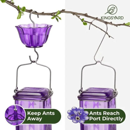 💥Last Day Sale 49% Off💥24oz Leak Proof Glass Hummingbird Feeder with Ant Moat 🔥BUY 2 FREE SHIPPING